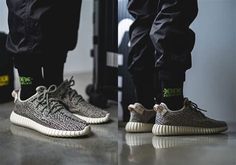 turtle dove release date